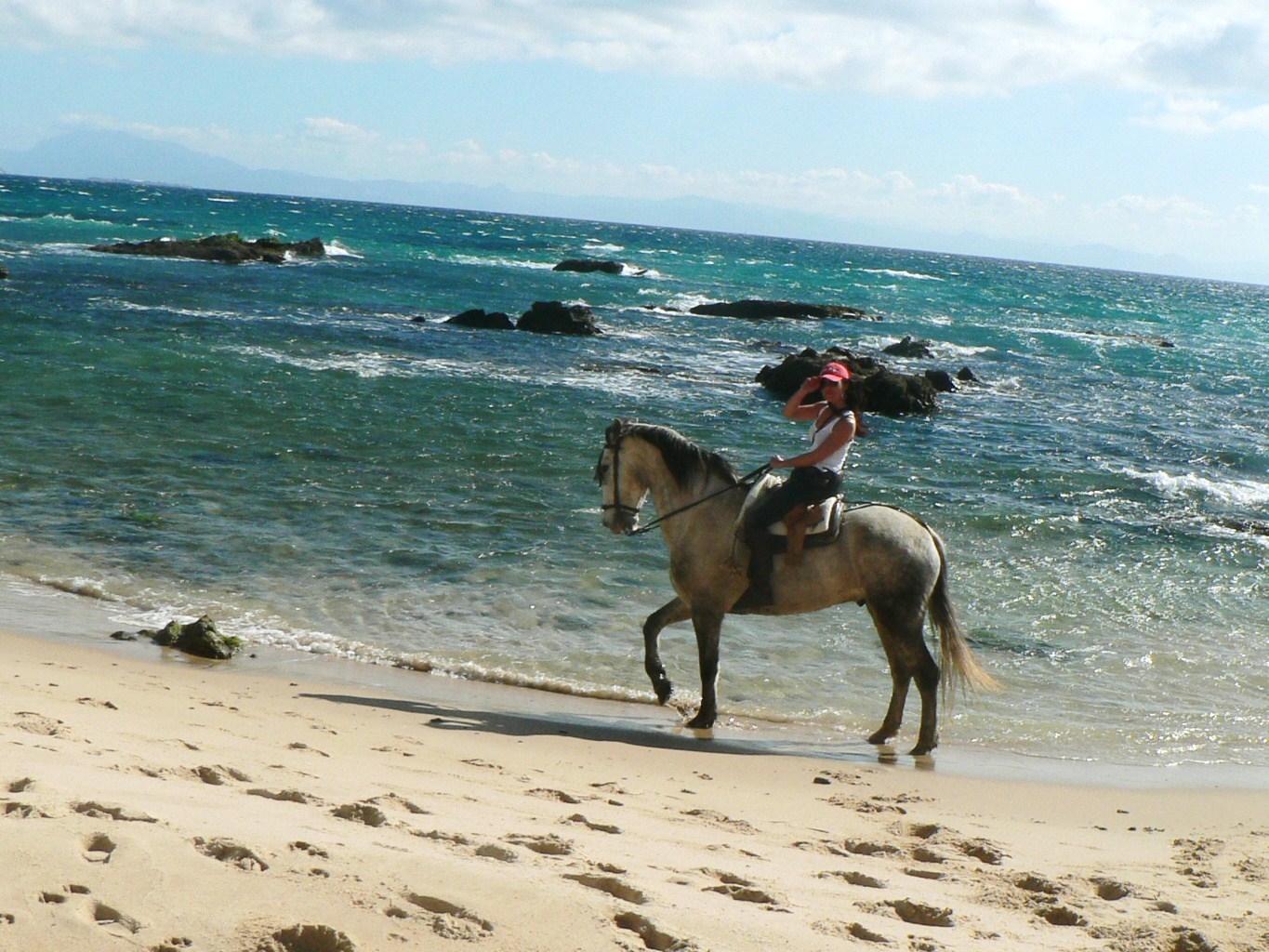Caballo playa paloma