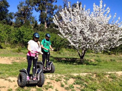1h Segway Tour for Couples in Arenys de Munt