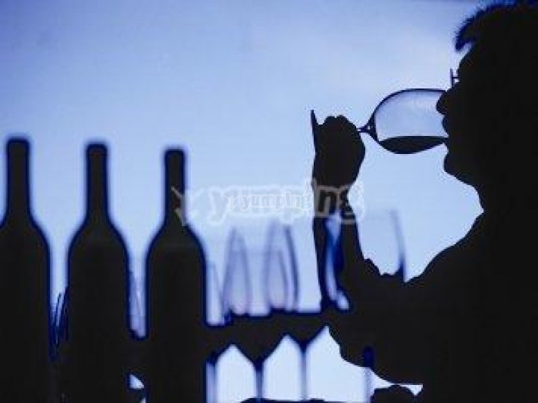 Aprende a ser un catador de vinos