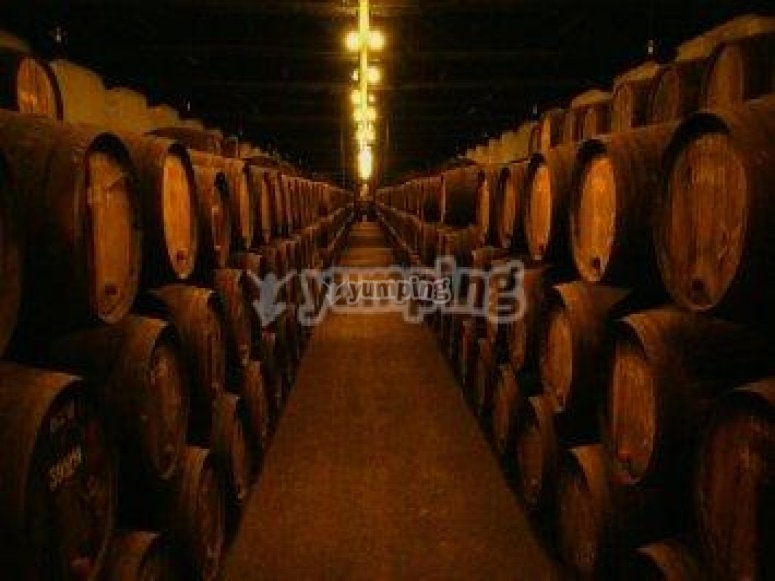 Elige una buena bodega Elige una buena bodega