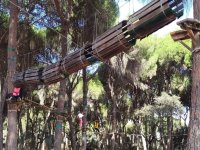  canopy circuit in Seville 