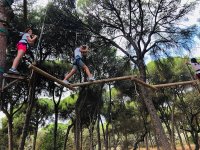  going through the wooden obstacles 