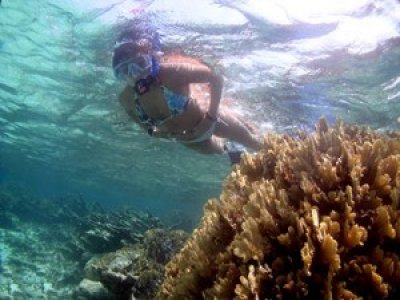 Playa Diving Center Snorkel
