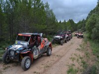  Group outing on roads 