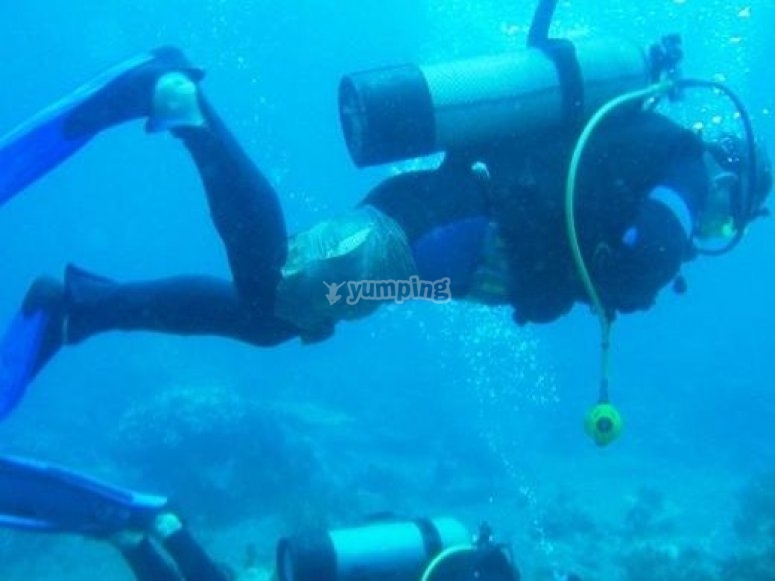Buceo recreativo Buceo recreativo