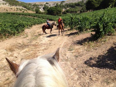 Bodegas Comenge Rutas a Caballo