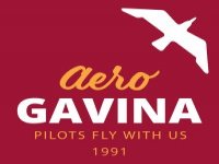 Aerogavina