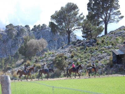 Tramuntana a Cavall