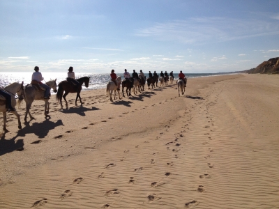 Ruta completa Playa Dunas y Parque Doñana 2h