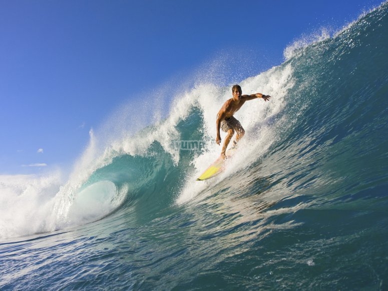 Practicar surf en España Practicar surf en España