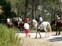  On the horses in Benageber 