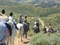  Randonnée équestre à travers Las Lagunas de Mijas 