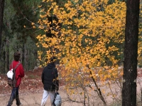  hiking in autumn 