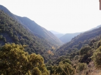  Ausblick auf den Korkeichenwald Mosquera