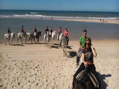 Paseo a caballo playas de Doñana 2 h