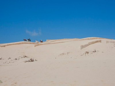 Ruta a Caballo 5 horas por playa de Bolonia + menú