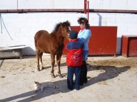  Chevaux Paraje Los Palos 