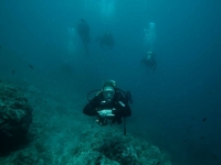  Diver with hands together 