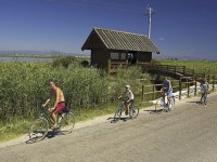 paseos en familia