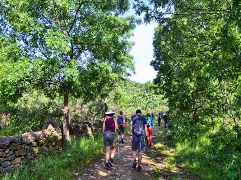 Ruta de Senderismo de la chorrera de San Mamés - Foto de senderismomadrid.es Ruta de Senderismo de la chorrera de San Mamés - Foto de senderismomadrid.es