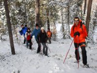  snowshoes through the snowy forest 