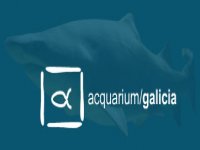 Acquarium Galicia