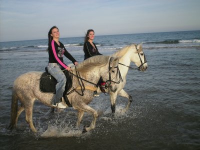 Lo Rufete Multiaventura Park Rutas a caballo