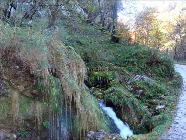 /tb_rutas-de-senderismo-en-el-parque-natural-de-redes-asturias-ruta-del-agua.jpg