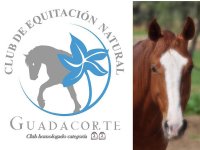 Club de Equitación Natural Guadacorte Rutas a Caballo