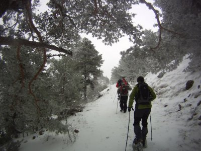 Ruta raquetas de nieve y transporte desde Valencia
