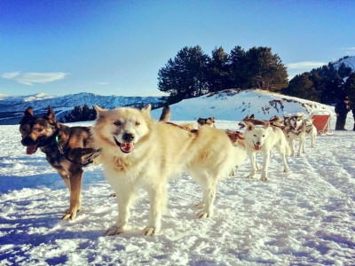 Mushing en Andorra 2 km adultos