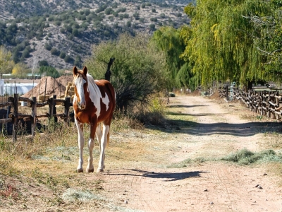 沿着 Caminito del Rey 骑马路线 2 小时