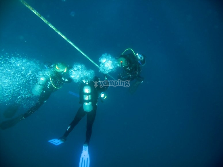 buceo buceo
