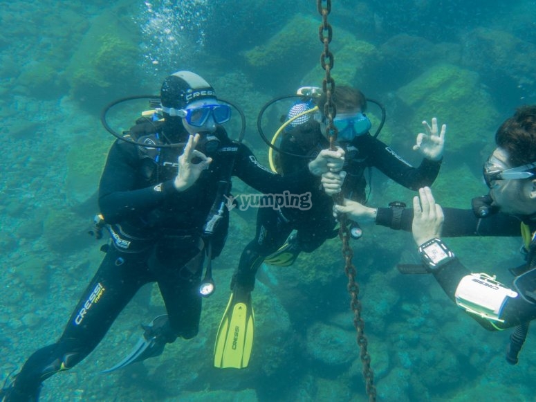 buceo buceo