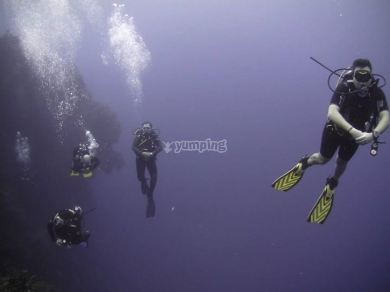 buceo buceo