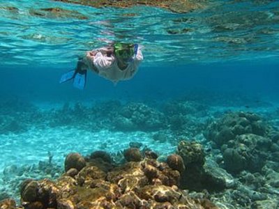 Snorkel Quintana Roo