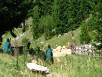  Nella scena del paintball