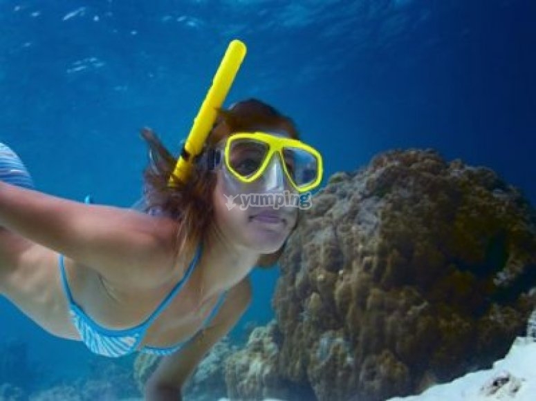 Snorkel en la Región de Murcia Snorkel en la Región de Murcia