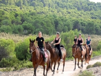  Through natural areas of Menorca on horseback