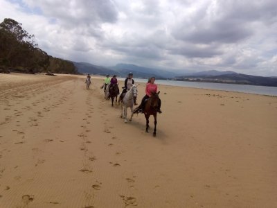 Ruta a caballo en la playa, en Laredo. 1 h
