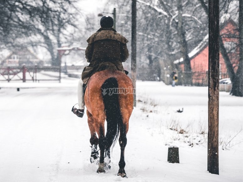 Paseo a caballo por la nieve