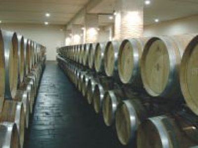 Bodegas Valpincia