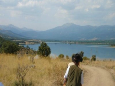 Romantic horse ride tour in Madrid Sierra, 1h