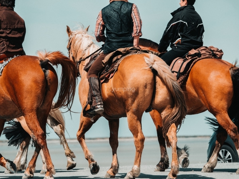 Ruta a caballo con los amigos Ruta a caballo con los amigos