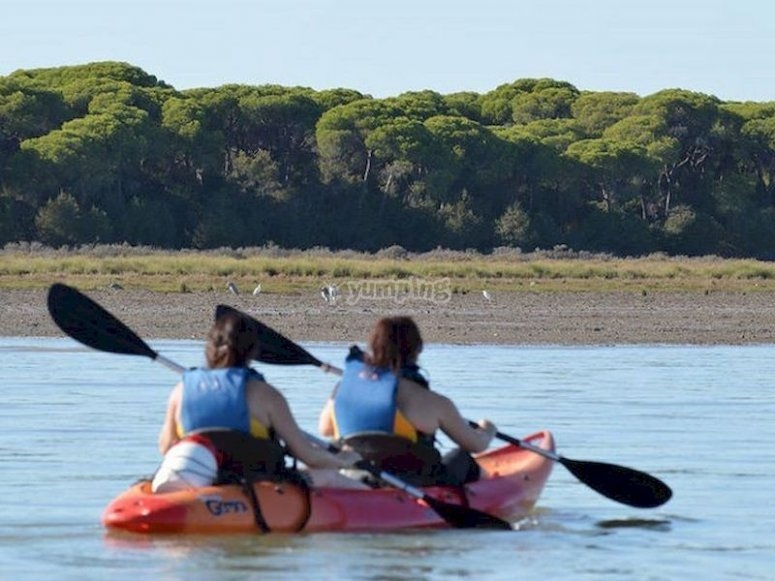 Visita el Parque Nacional de Doñana en kayak Visita el Parque Nacional de Doñana en kayak
