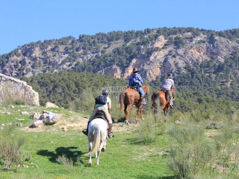 Ruta a caballo por el río Guadalentín Ruta a caballo por el río Guadalentín