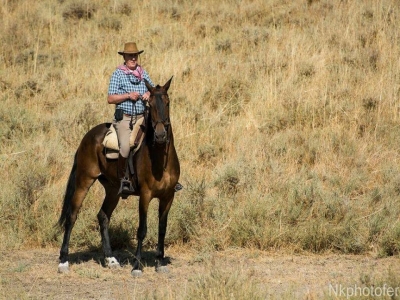 Weekend on horseback + Valentine's Day accommodation