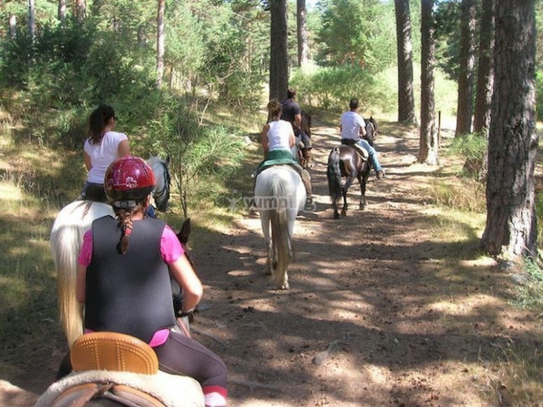 Pasea a caballo por Cercedilla, Rascafría Aranjuez o el Escorial Pasea a caballo por Cercedilla, Rascafría Aranjuez o el Escorial