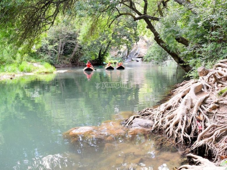 Kayak por el río Ega Kayak por el río Ega