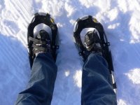  Snowshoe excursion 